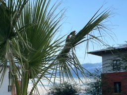 Guten Morgen vom Campus